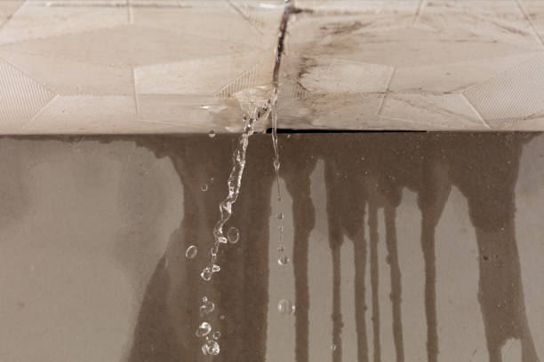 Professional Structural Drying technician working in Clayton, OH